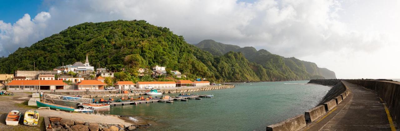 Tante Arlette Hotel Grand'Riviere Bagian luar foto
